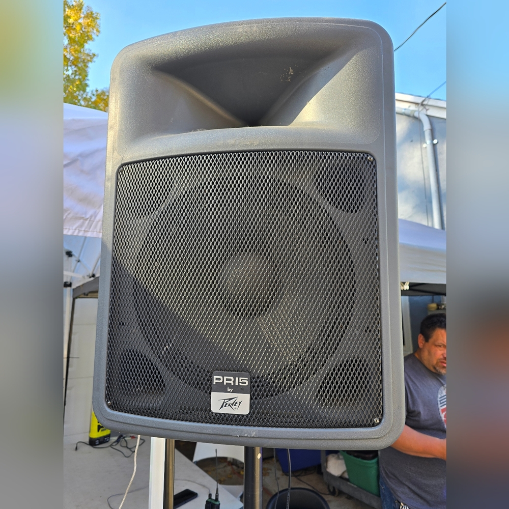 Peavey Speaker